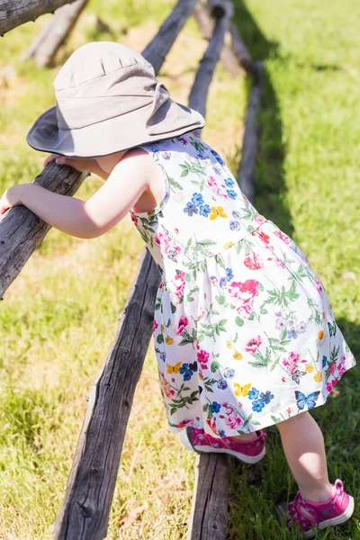 Toddler playing on the farm — Stock Photo, Image