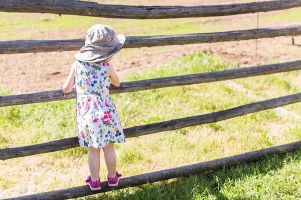 Toddler playing on the farm — Stock Photo, Image