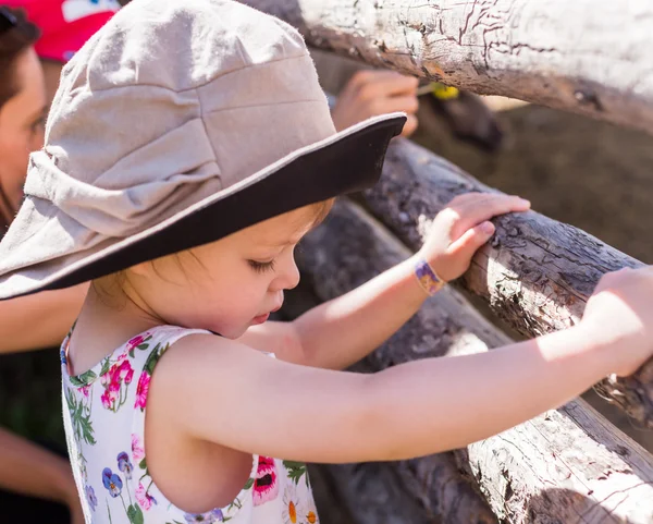 Toddler playing on the farm — Stock Photo, Image