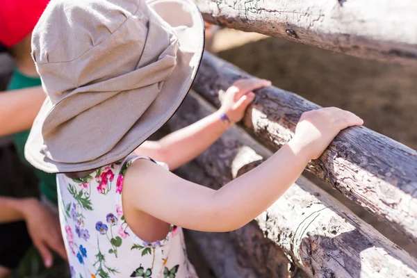 Toddler playing on the farm — Stock Photo, Image