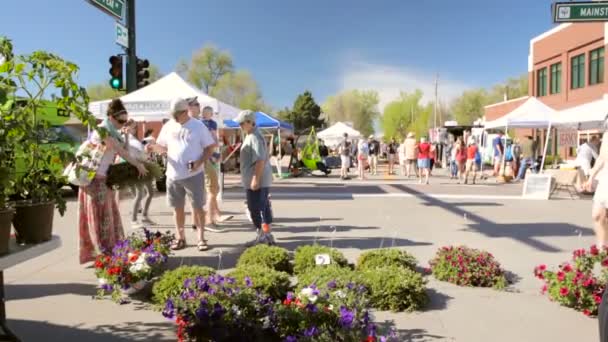 Вихідні покупки на ринки фермерів — стокове відео