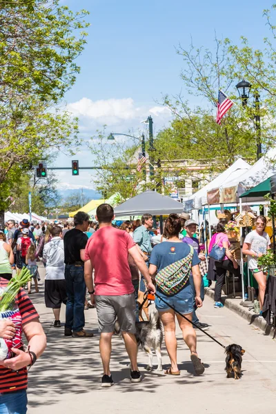 Weekend shopping on the Farmers Market — Stock Photo, Image