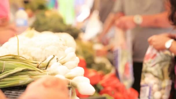 Weekend shopping on the Farmers Market — Stock Video