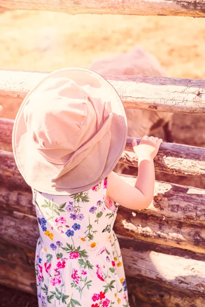 Toddler playing on the farm — Stock Photo, Image