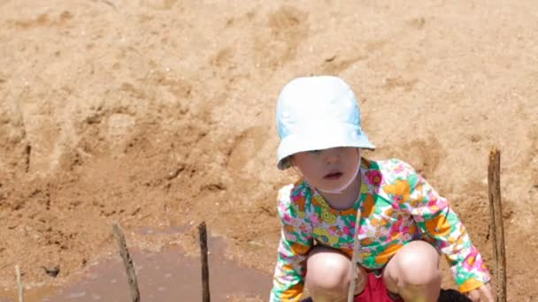 Toddler on the beach — Stock Video