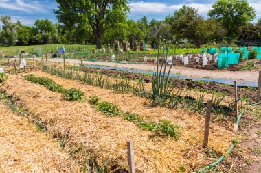 Sebze Bahçesi görünümünü