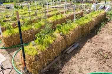 Sebze Bahçesi görünümünü