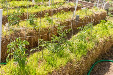 Sebze Bahçesi görünümünü