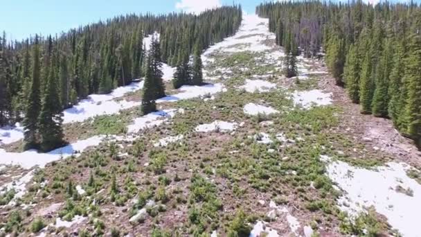 Luftaufnahme des Skigebiets im Sommer. — Stockvideo