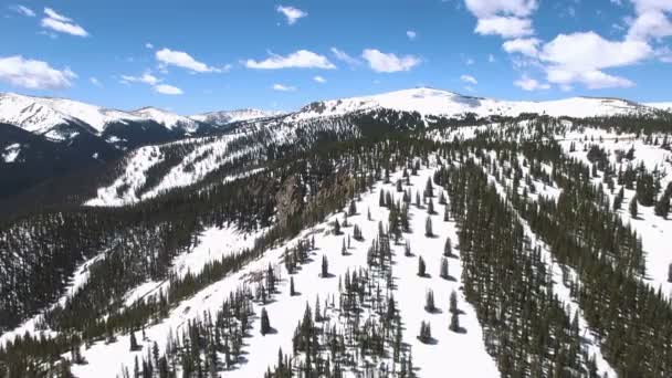 Luftaufnahme des Skigebiets im Sommer. — Stockvideo