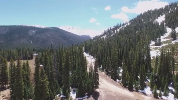 Vista aérea da estância de esqui no verão . — Vídeo de Stock