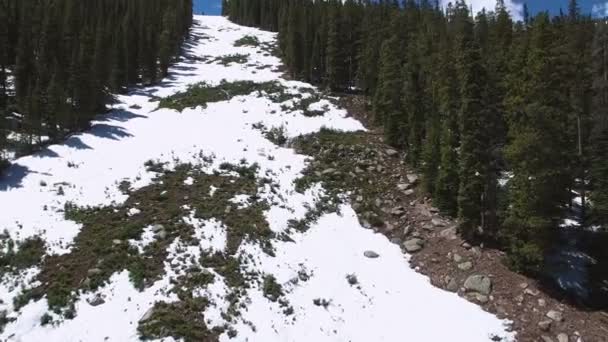 Вид с воздуха на горнолыжный курорт летом . — стоковое видео