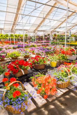 Bahçe Merkezi Görünümü