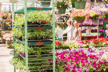 Bahçe Merkezi Görünümü