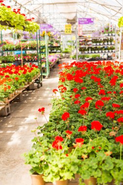 Bahçe Merkezi Görünümü