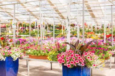 Bahçe Merkezi Görünümü