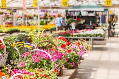Bahçe Merkezi Görünümü