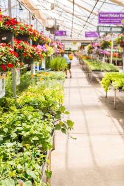 Bahçe Merkezi Görünümü