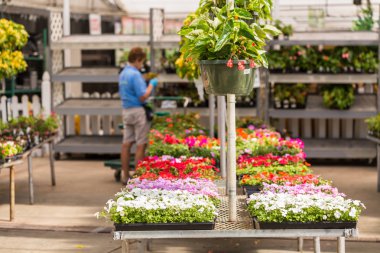 Bahçe Merkezi Görünümü