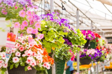 Bahçe Merkezi Görünümü