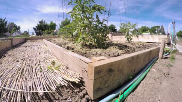 Potager biologique jardin communautaire — Video