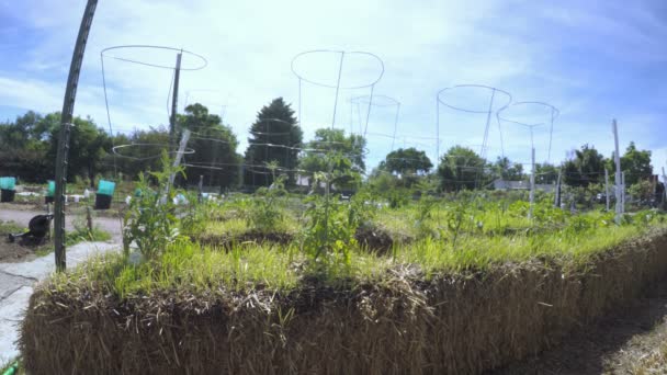 Potager biologique jardin communautaire — Video