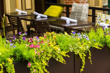 Görünüm Larimer Meydanı