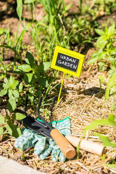 Małe, organiczny ogród warzywny — Zdjęcie stockowe