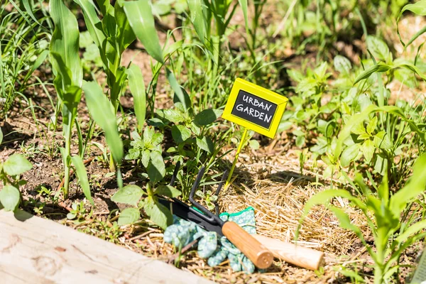 Małe, organiczny ogród warzywny — Zdjęcie stockowe