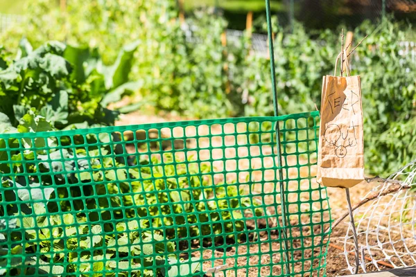 oturum kapatma devam