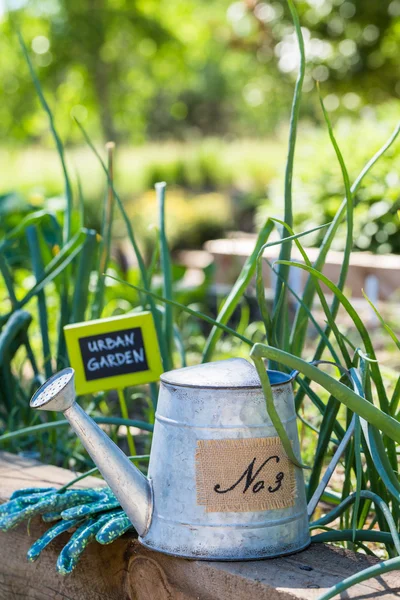 Kleiner Bio-Gemüsegarten — Stockfoto