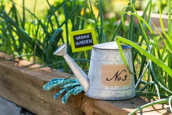 Kleiner Bio-Gemüsegarten — Stockfoto