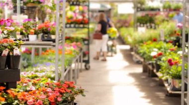 Yerel Bahçe Merkezi