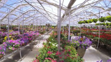 Yerel Bahçe Merkezi