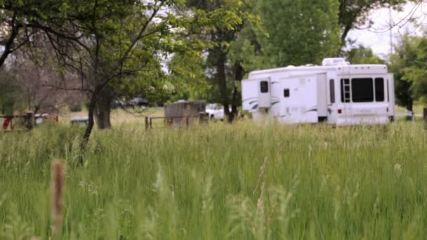 Cherry Creek State Park campen — Stockvideo