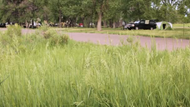 Camping d'été au parc national Cherry Creek — Video