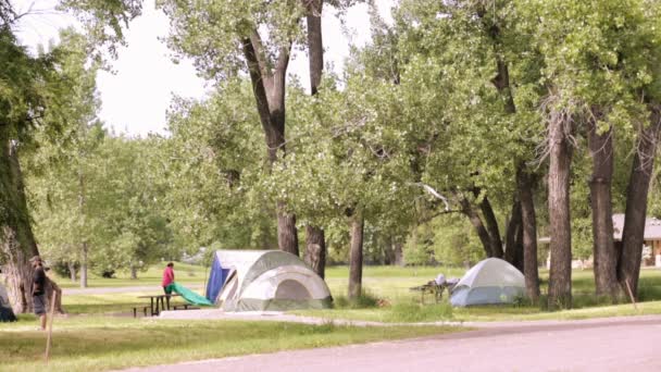 Sommer-Zelten im Cherry Creek State Park — Stockvideo