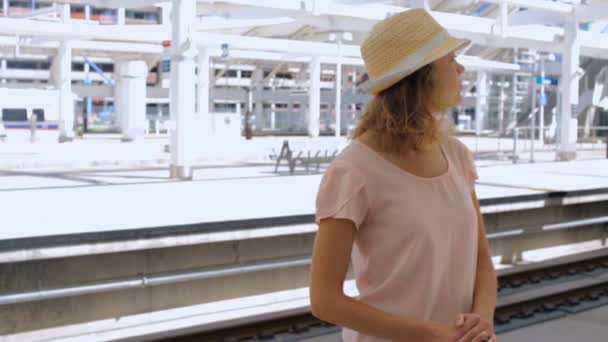 Tren ile seyahat kadın — Stok video