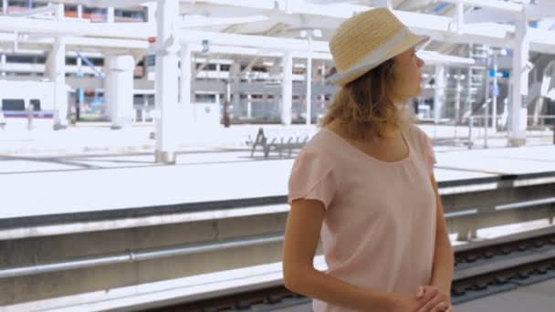 Woman traveling by train — Stock Video