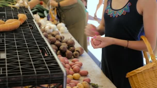 Ung kvinna shopping på lokala jordbrukarna marknaden. — Stockvideo