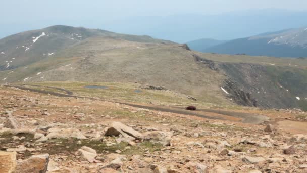 Uitzicht vanaf de top van Mount Evans. — Stockvideo
