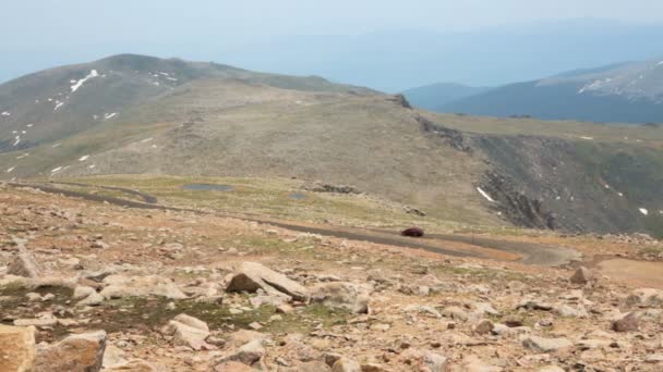 Blick von der Spitze des Mount Evans. — Stockvideo