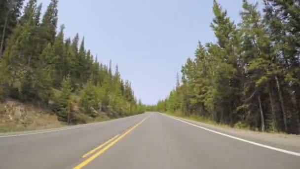 Autó vezetés megközelítése aszfaltos úton — Stock videók