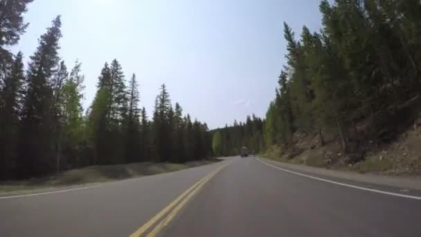 Αυτοκίνητο οδήγηση σε ασφαλτοστρωμένο δρόμο — Αρχείο Βίντεο