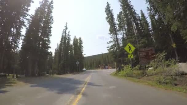 Conducción de coches en carretera pavimentada — Vídeo de stock