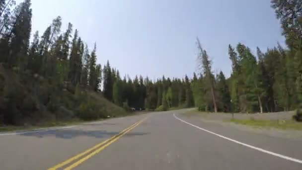 Αυτοκίνητο οδήγηση σε ασφαλτοστρωμένο δρόμο — Αρχείο Βίντεο
