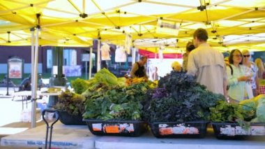 Yaz çiftçilere piyasa