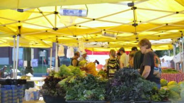 Yaz çiftçilere piyasa