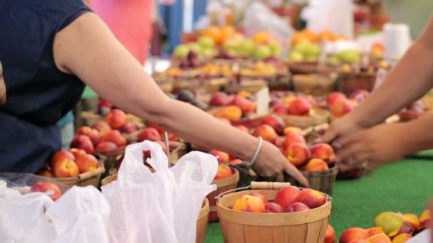 Verse producten op de lokale markt. — Stockvideo