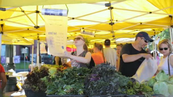 Sommar jordbrukarna marknaden — Stockvideo